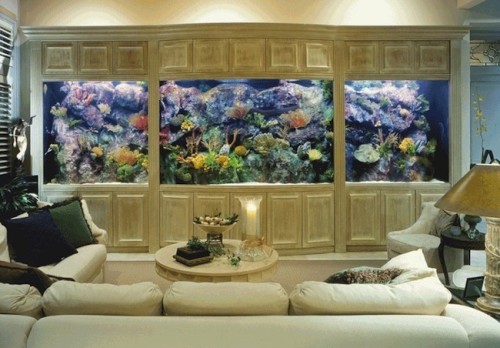 LandmarkCustomHomes-Living_Wall_Aquarium