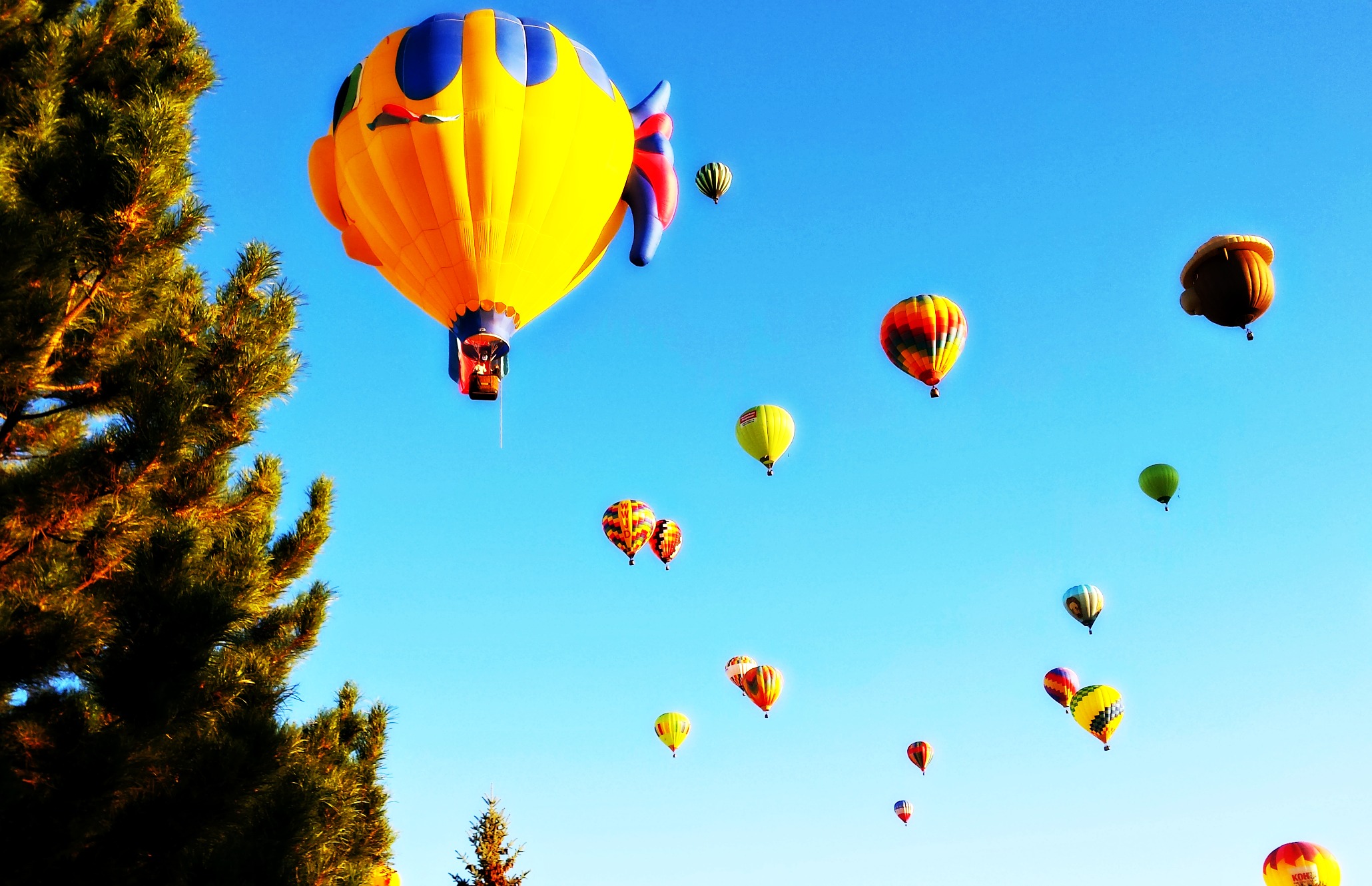 The Great Reno Balloon Race. Source: Shaunta Grimes of Going Reno