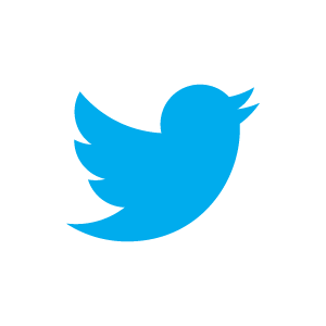Twitter icon updated