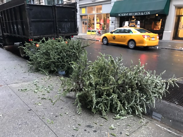 guide to christmas tree disposal in nyc streeteasy guide to christmas tree disposal in nyc streeteasy
