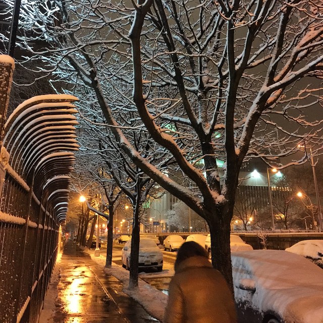 Brooklyn Snowy Night
